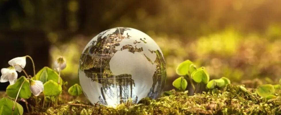 mapfre sostenibilidad