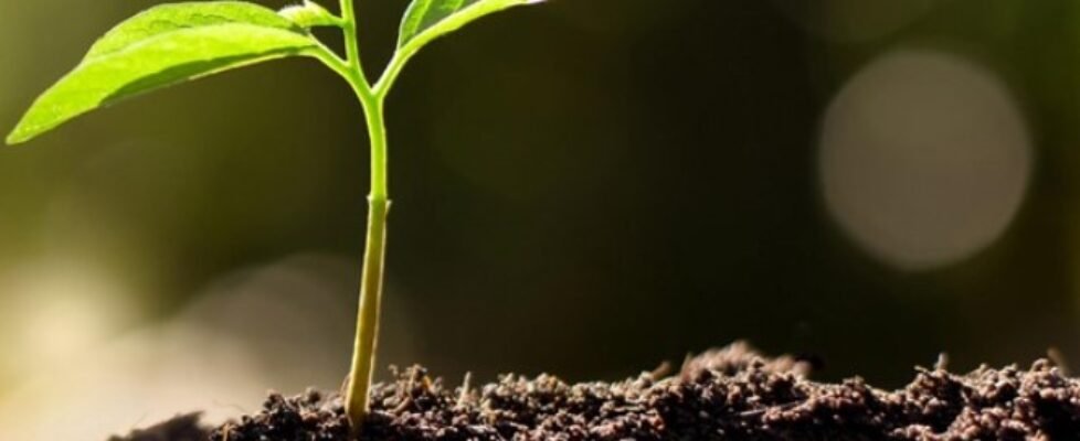 markel campus seguro