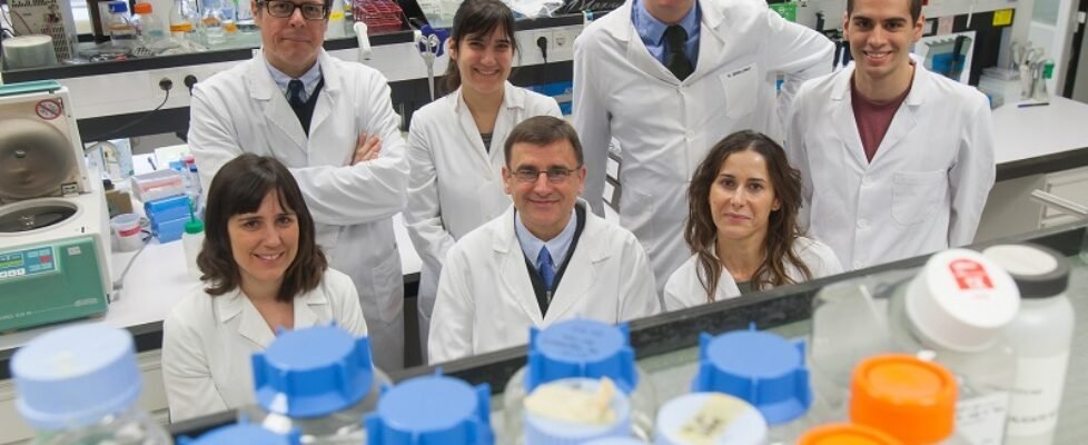 Mutua Mad Equipo de Antonio Fontanellas en el CIMA-Universidad de Navarra