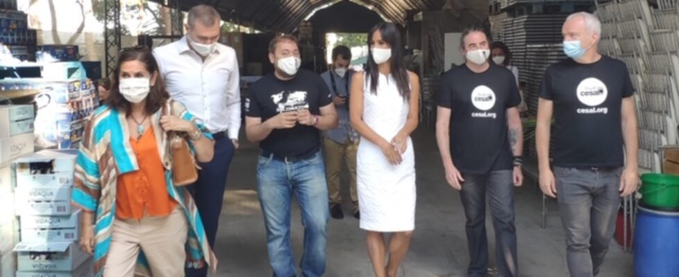 Reale VisitaProyecto_1