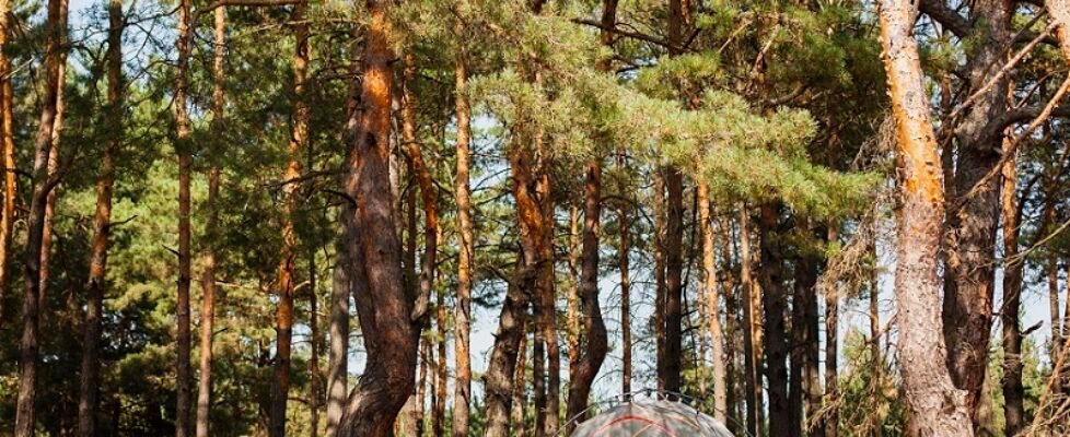 camping acampada