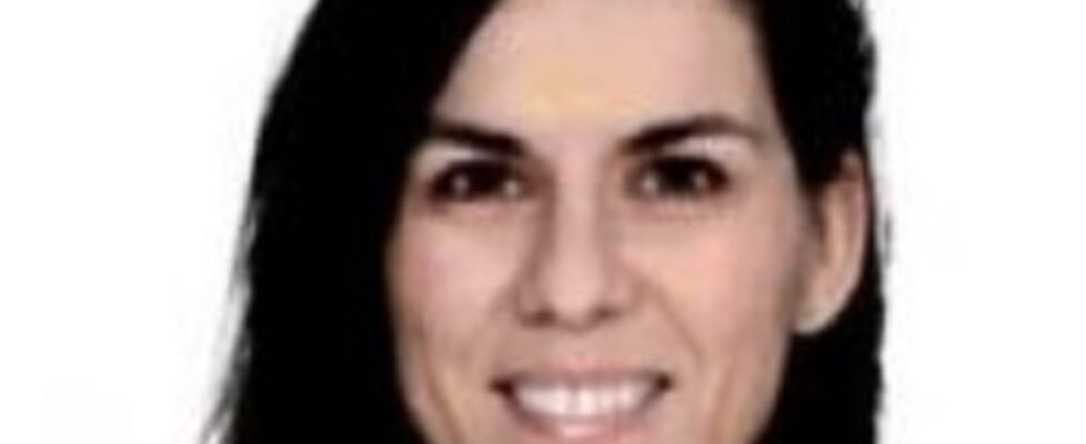 global risks mapfre laura gonzalez