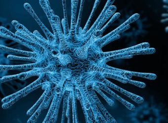 imq covid virus-4030721