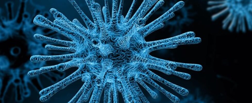 imq covid virus-4030721