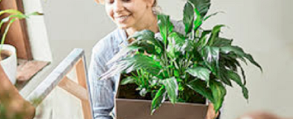 liberty_accidentes_rrss