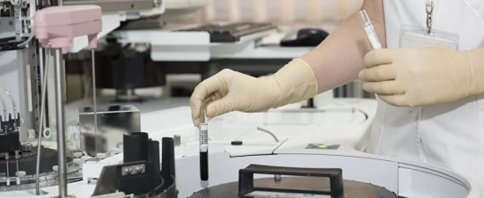 sanidad investigacion