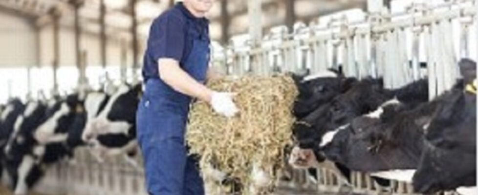 MGS Agropecuario (002)