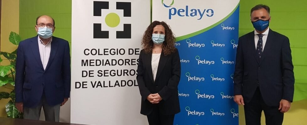 foto protocolo pelayo