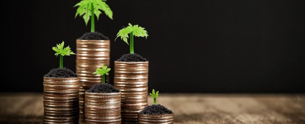 Coins are stacked in a graph shape with sapling of a growing tree.