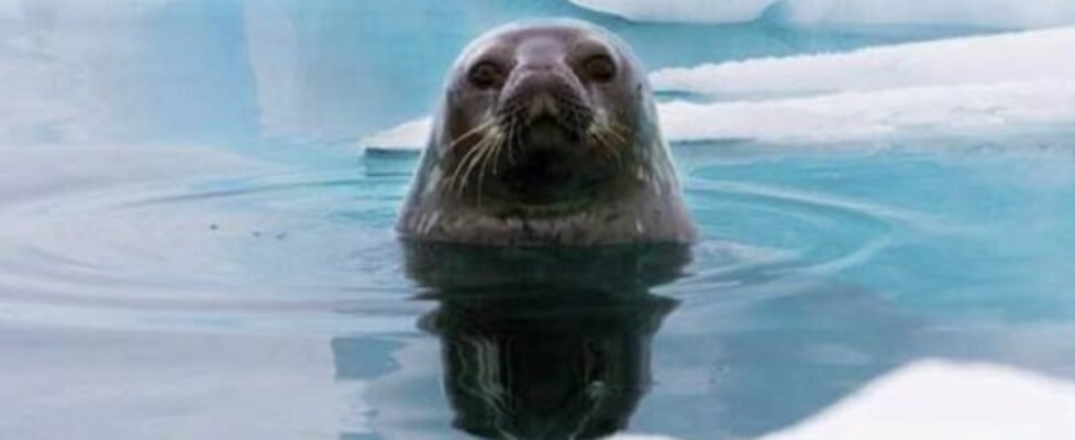 exposicion cambio climatico