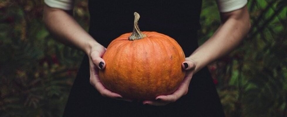 halloween calabaza monstruos