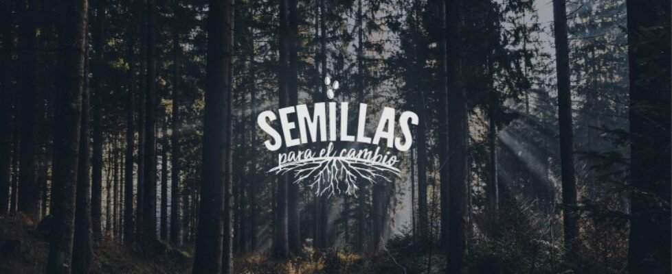 mapfre semillas800x472