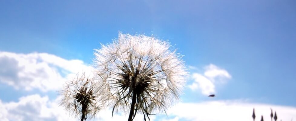 Campus_Canal_Decesos_Preventiva2