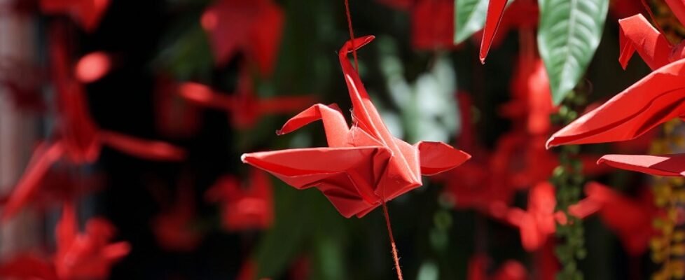 origami_cropped-grua-amb-fil-vermell_2000x1200
