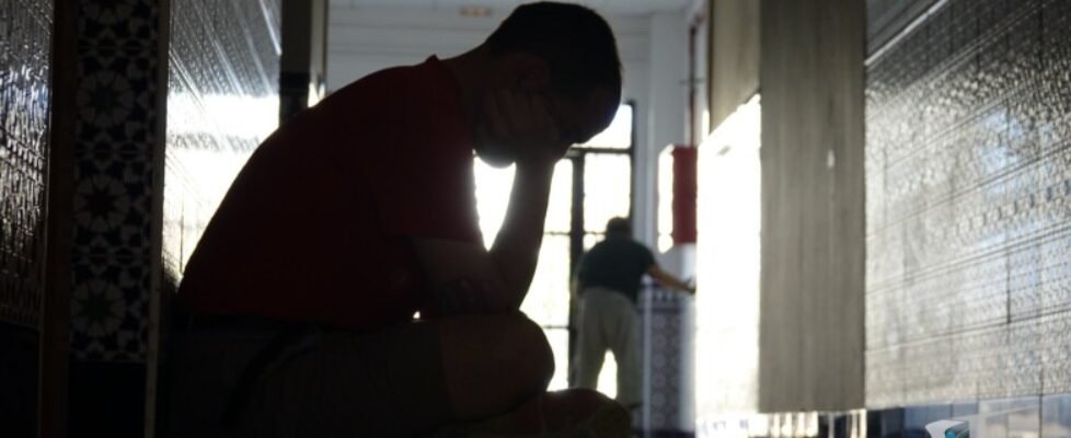 plena_inclusion-800x320-1