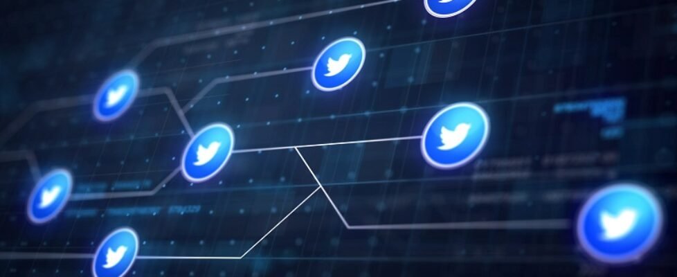 Twitter Icon Line Connection of Circuit Board
