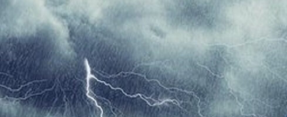 Liberty - Borrasca Bella