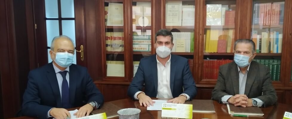 mutua levante colegio alicante