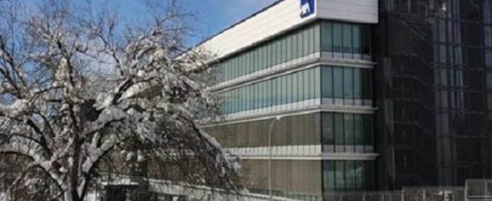axa sede nieve nevada