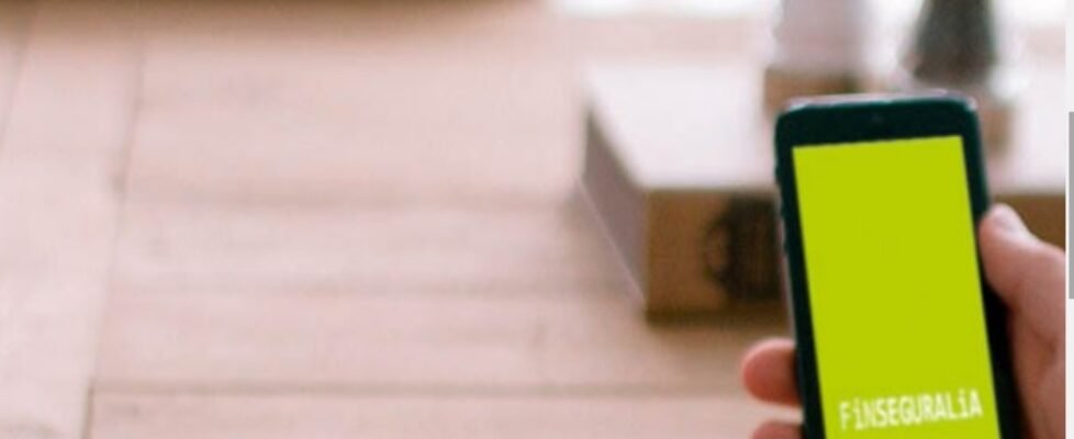 finseguralia redes sociales