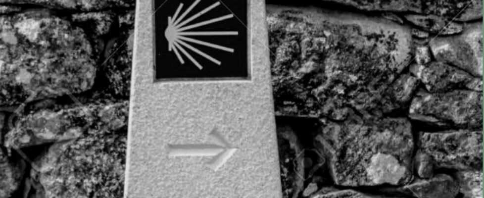 inade camino-2021 (002)