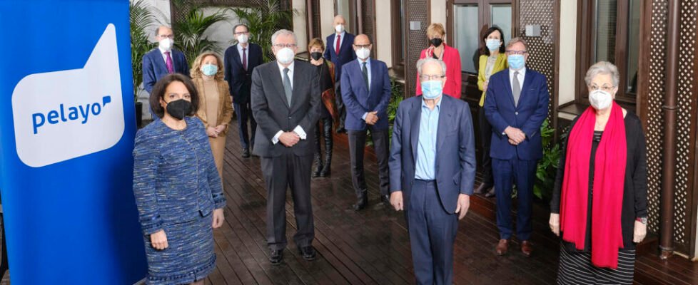 PELAYO-84000210-803-suelo-B