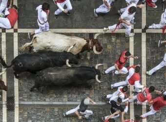 navarra san fermín
