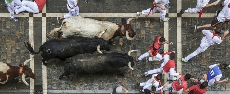 navarra san fermín