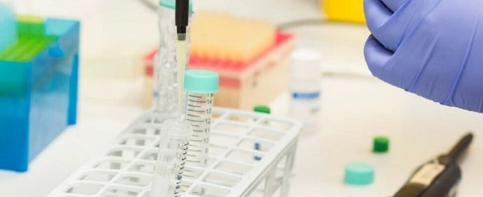 ASISA_Ayudas investigacion