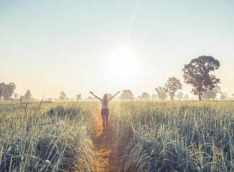 msglife_HealthInsurance_ES_SegurosNews (002)