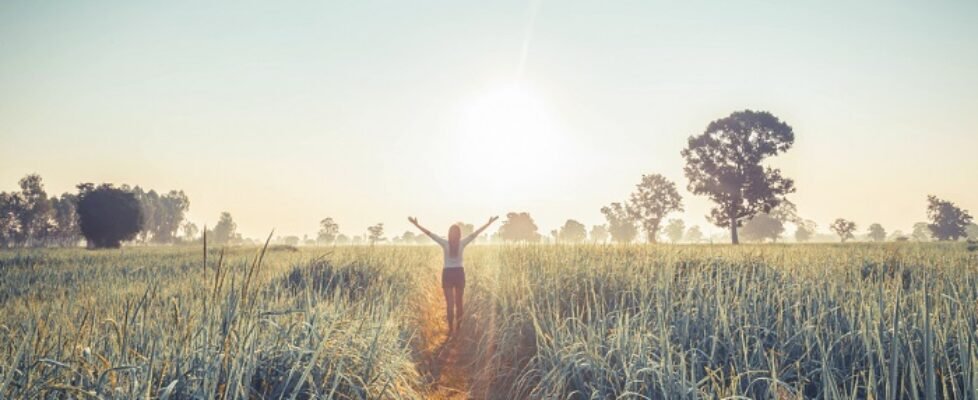 msglife_HealthInsurance_ES_SegurosNews (002)