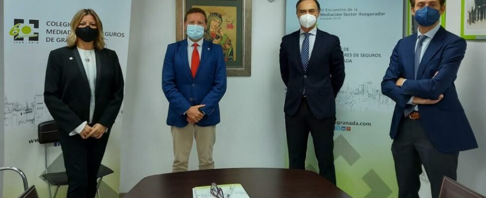 Asefa y Colegio Granada