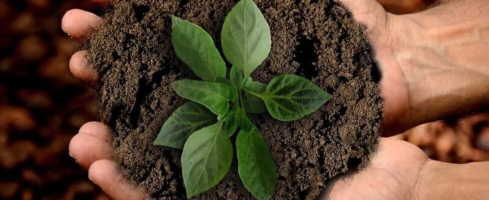 Ibercaja sostenibilidad