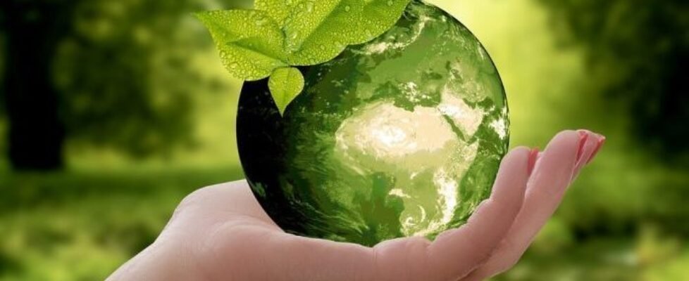 Willis Sostenibilidad