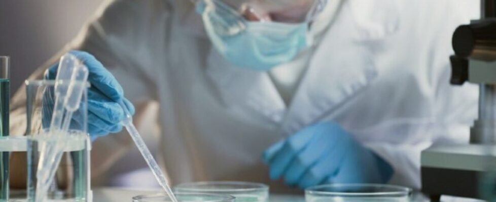 Willis sanidad digital