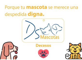 dsmascotas