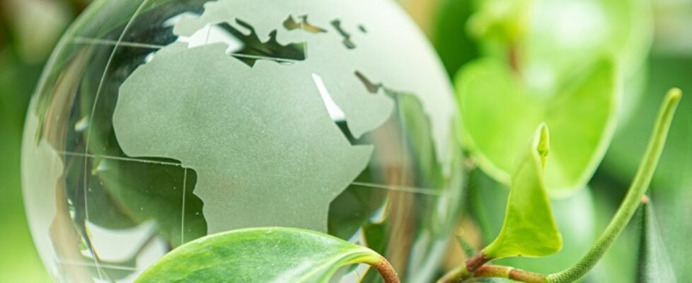 markel medio ambiente