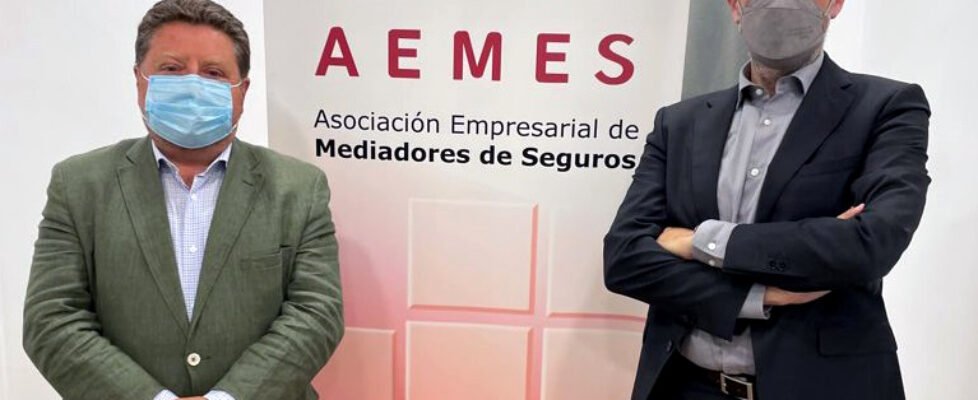 Aemes - Consejo General