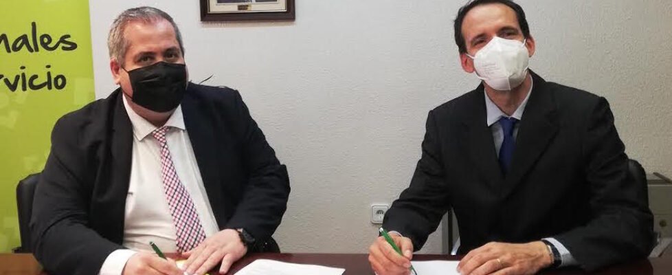 Colegio Alicante y Allianz