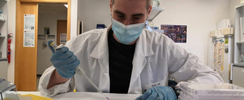 Fundación Mutual Médica ayudas investigación