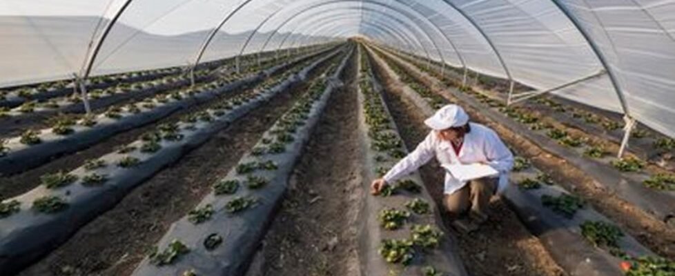 Generali_EnterPrize-lanczos3