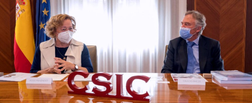 Mapfre-CSIC_800X320-1