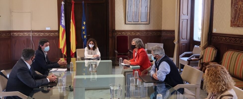 Reunio Col. Mediadors assegurances (18-5-2021)