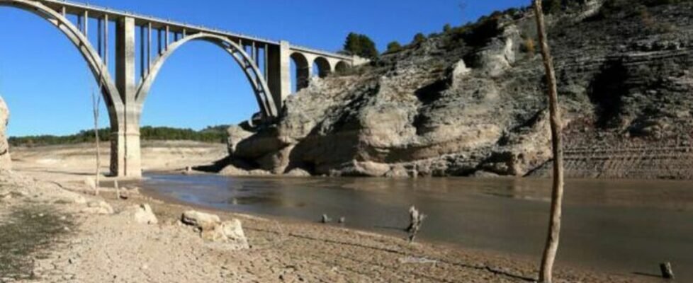 Willis cambio climático