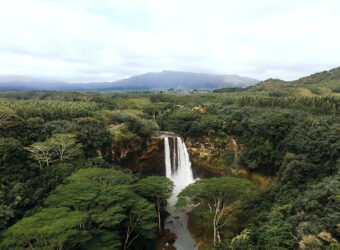 High angle shot of waterfalls in the forest