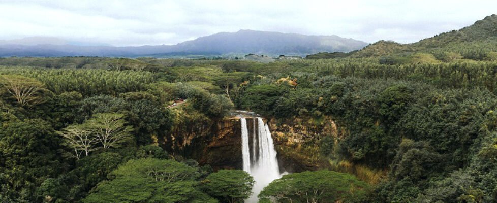 High angle shot of waterfalls in the forest