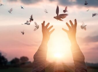Woman praying and free bird enjoying nature on sunset background