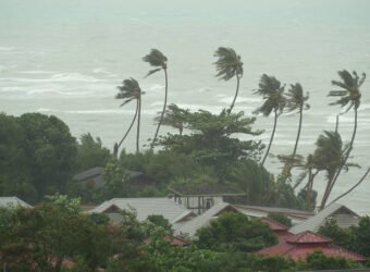 Pabuk typhoon, ocean sea shore, Thailand. Natural disaster, eyewall hurricane. Strong extreme cyclone wind sways palm trees. Tropical flooding rain season, heavy tropical storm weather, thunderstorm