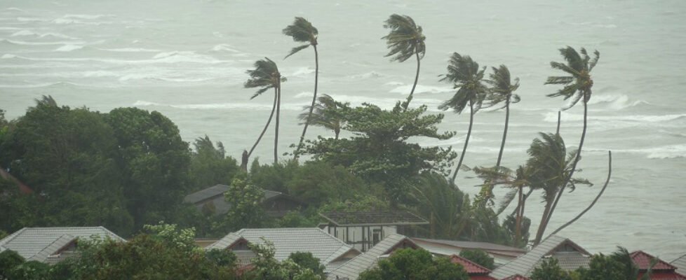 Pabuk typhoon, ocean sea shore, Thailand. Natural disaster, eyewall hurricane. Strong extreme cyclone wind sways palm trees. Tropical flooding rain season, heavy tropical storm weather, thunderstorm