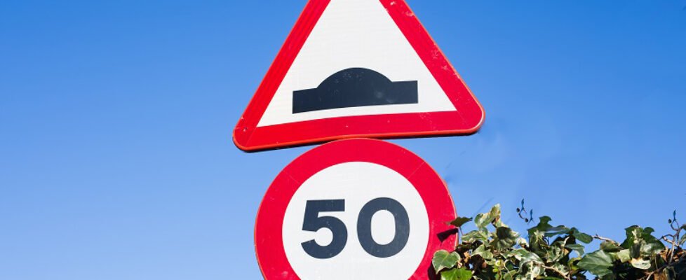 Speed limit traffic sign against green leaves